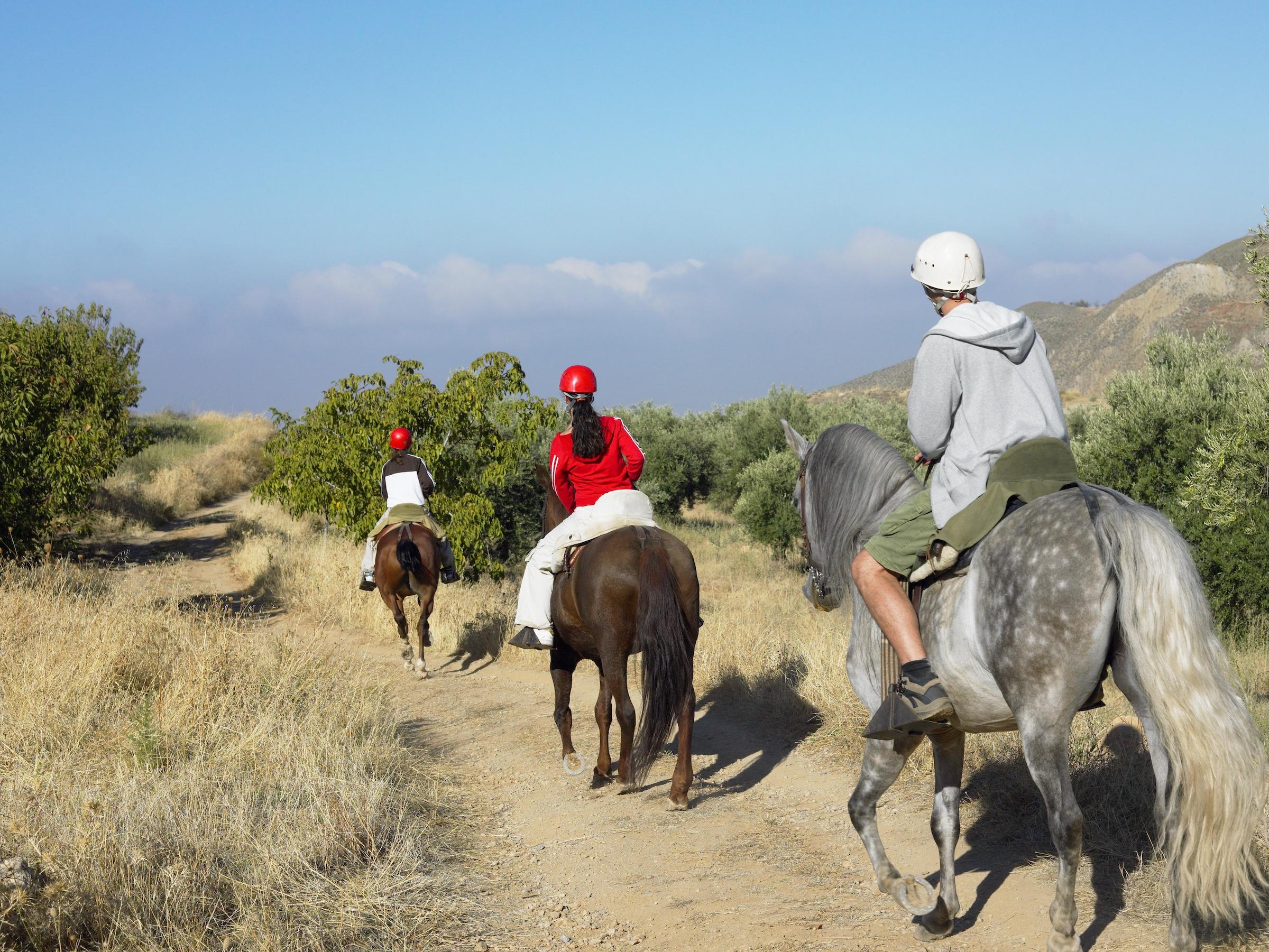 Tips for Enjoying Alternative Outdoor Activities During the Closure