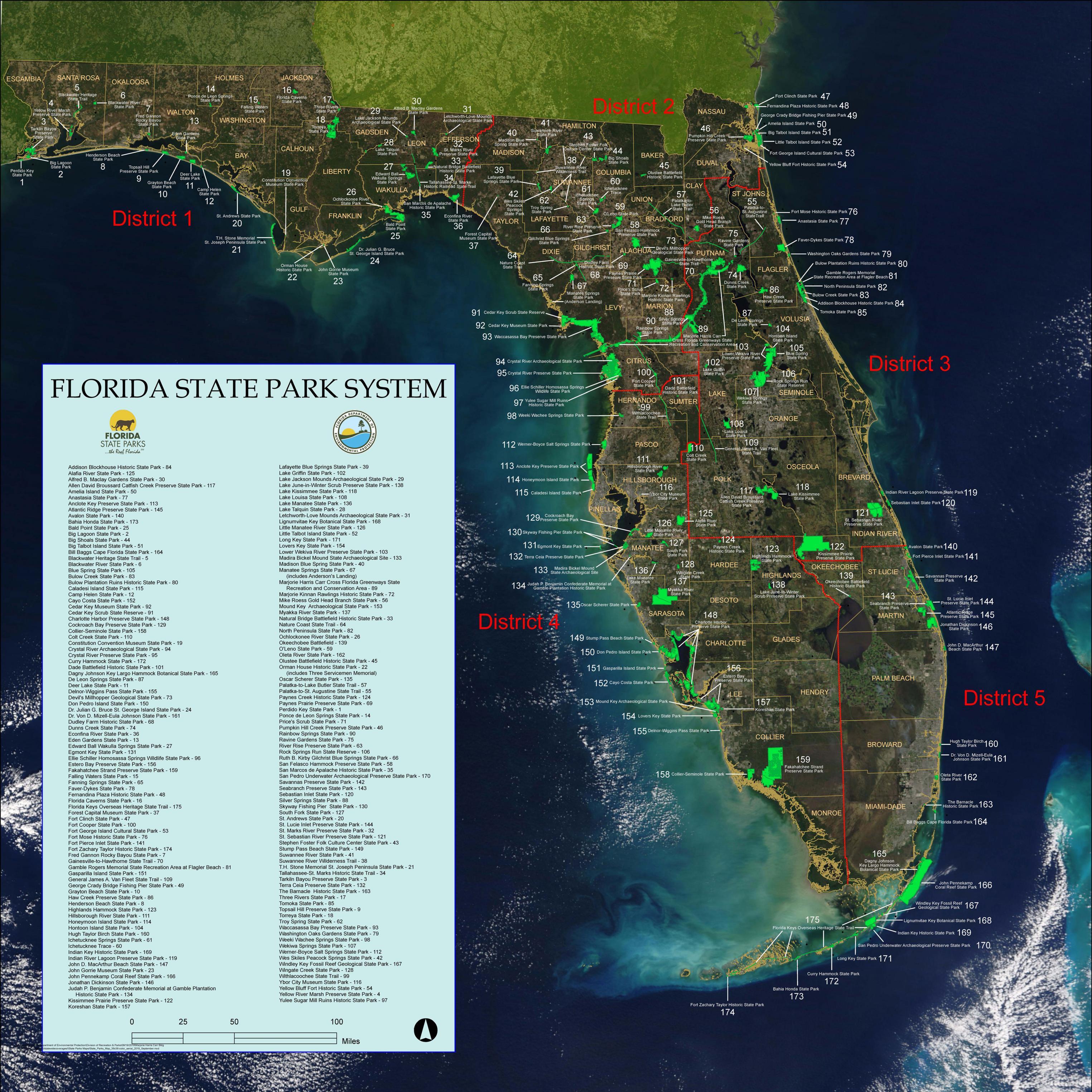 The Natural Beauty of Florida State Parks: A Home for Wildlife