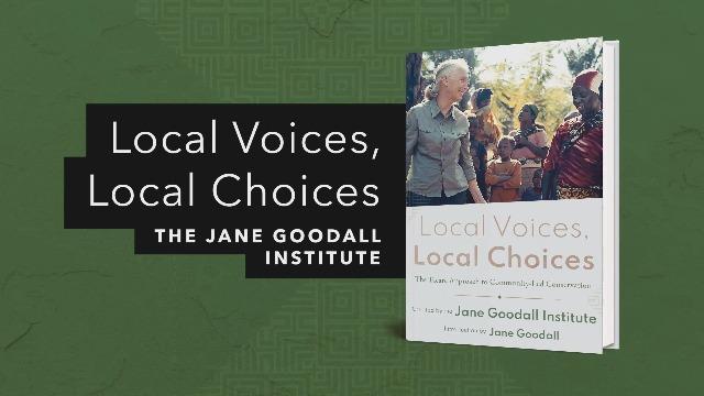 The​ Role of Local ​Voices in Advocating for‌ the Future of Creative Expression