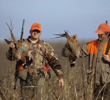South Dakota records best pheasant season in 13 years, state parks department says – South Dakota Searchlight