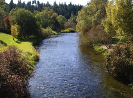 Plans to add Little Spokane property to Riverside State Park advancing – The Spokesman-Review