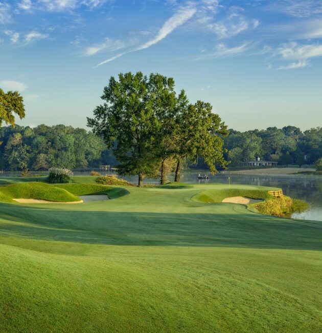 Worker who leaked plans to build golf courses in Florida parks files whistleblower suit – AP News