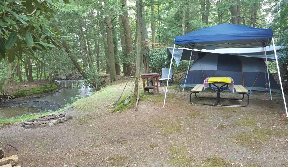 New campsites at Bald Eagle convey why PA parks are still open, still awesome | News, Sports, Jobs – The Express – lockhaven.com