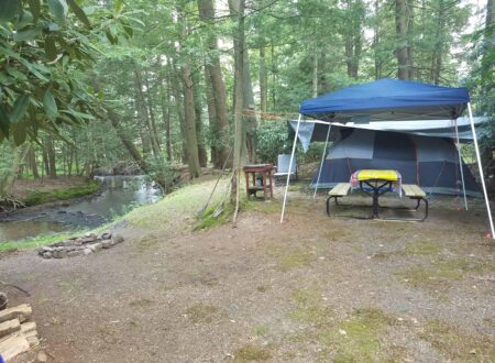 New campsites at Bald Eagle convey why PA parks are still open, still awesome | News, Sports, Jobs – The Express – lockhaven.com