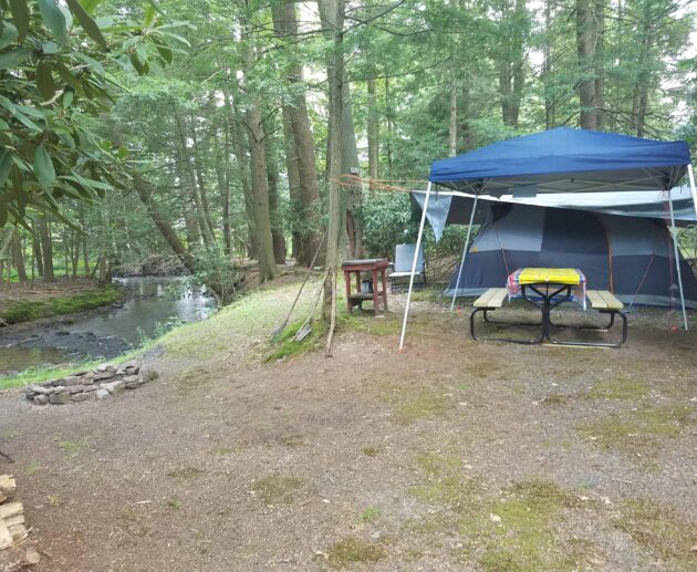 New campsites at Bald Eagle convey why PA parks are still open, still awesome | News, Sports, Jobs – The Express – lockhaven.com