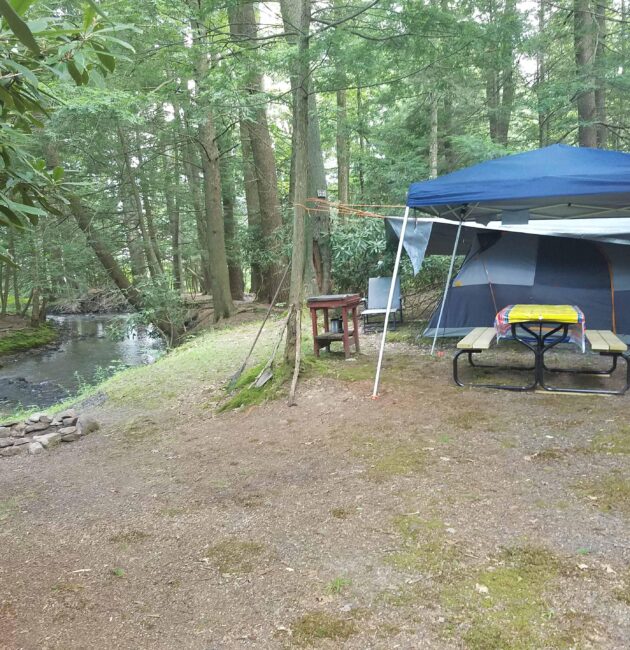 New campsites at Bald Eagle convey why PA parks are still open, still awesome | News, Sports, Jobs – The Express – lockhaven.com