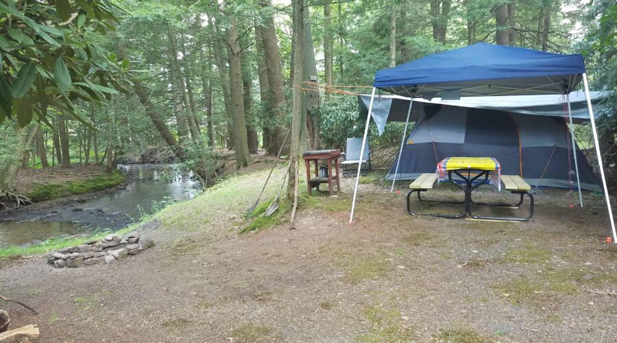 New campsites at Bald Eagle convey why PA parks are still open, still awesome | News, Sports, Jobs – The Express – lockhaven.com