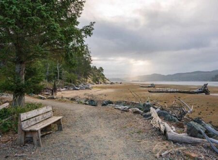 Popular Oregon state park campground is back open, and reservations are going fast – OregonLive.com