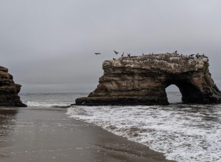 Natural Bridges State Park evacuated due to fire – MSN