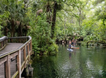 13 serene nature images from the Florida State Parks photo contest – Popular Science
