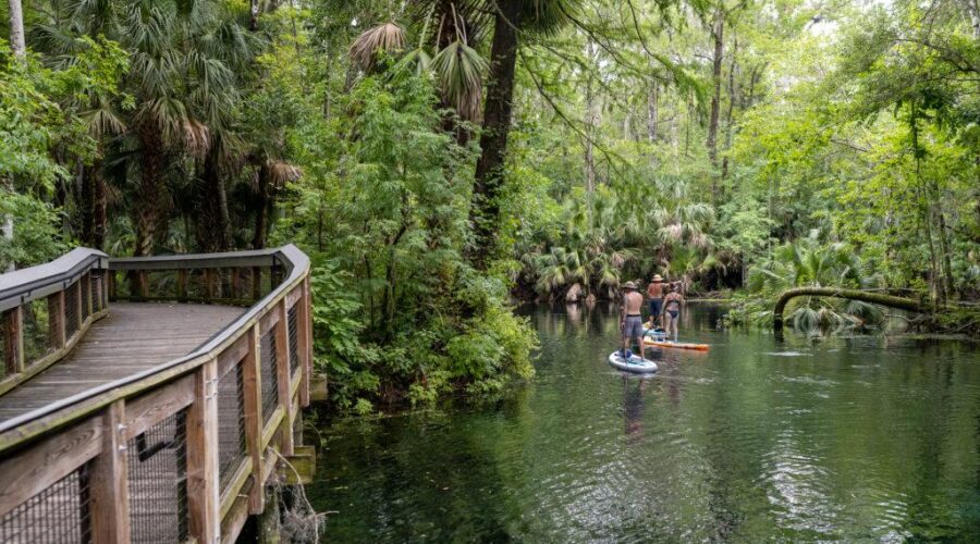 13 serene nature images from the Florida State Parks photo contest – Popular Science