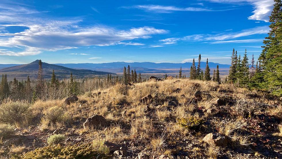Strategies​ for Preserving Public ⁢Lands Amidst Controversy
