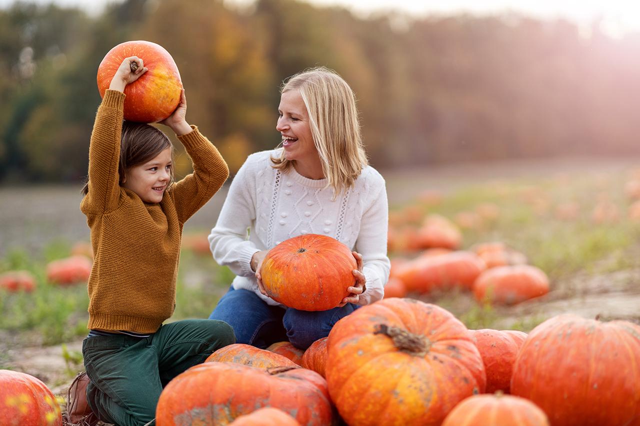 Exciting Activities Await ⁣Visitors ‍This Fall