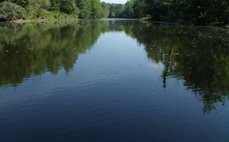 Exploring the Scenic‌ Trails of Finger ​Lakes State Park
