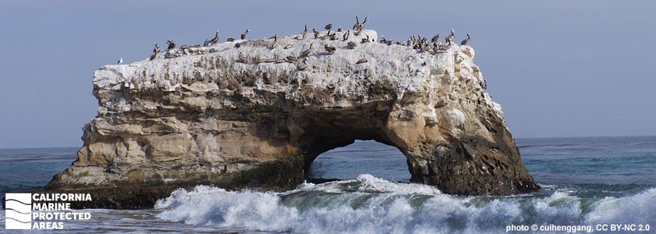 Exploring‍ the‍ ecological⁢ Importance ⁢of Natural Bridges State Park