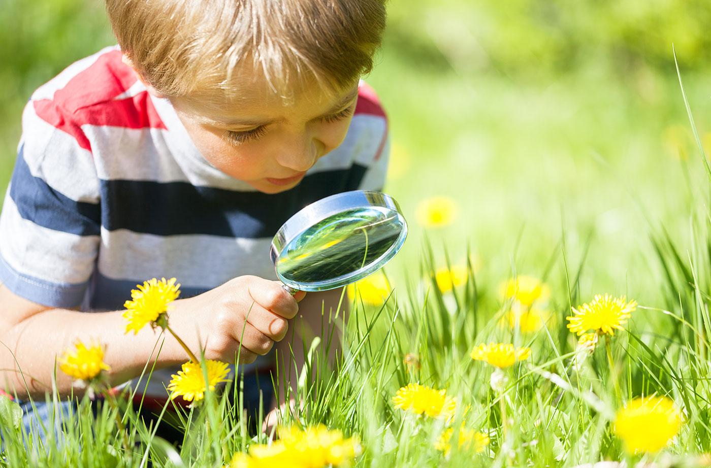 Connecting with Nature Through Educational Programs and Events