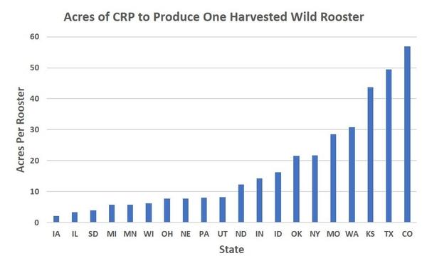 The Thriving Pheasant Population in South Dakota
