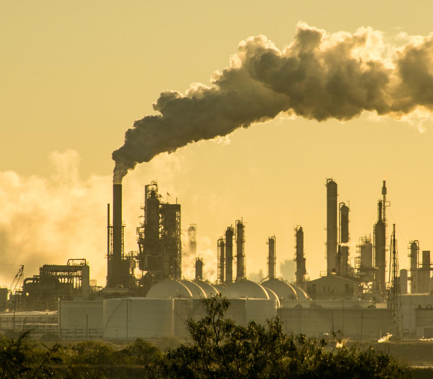 Threats from Human Activity and Its Consequences