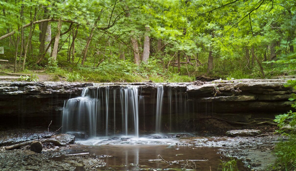 My Favorite Park in Nebraska Is a Little-Known Oasis for Birding – Only In Your State