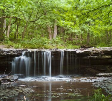 My Favorite Park in Nebraska Is a Little-Known Oasis for Birding – Only In Your State