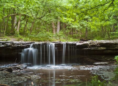 My Favorite Park in Nebraska Is a Little-Known Oasis for Birding – Only In Your State