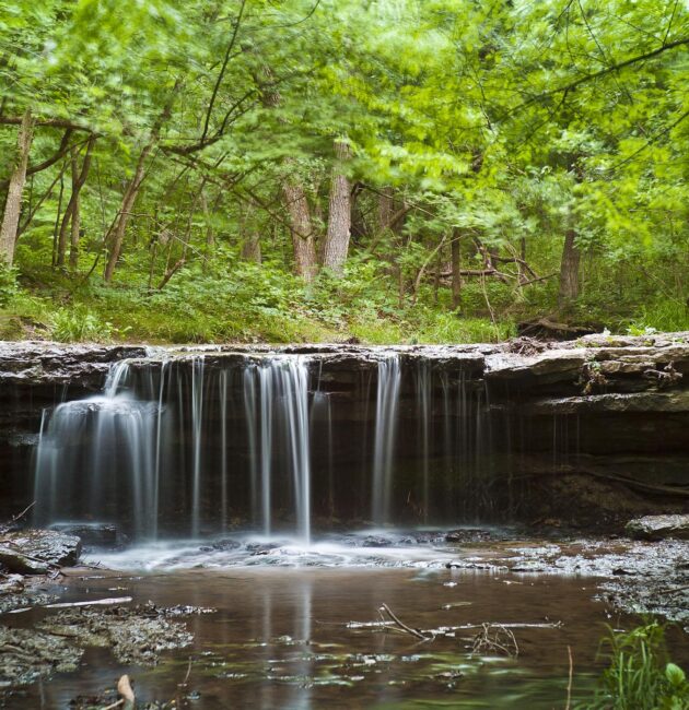 My Favorite Park in Nebraska Is a Little-Known Oasis for Birding – Only In Your State