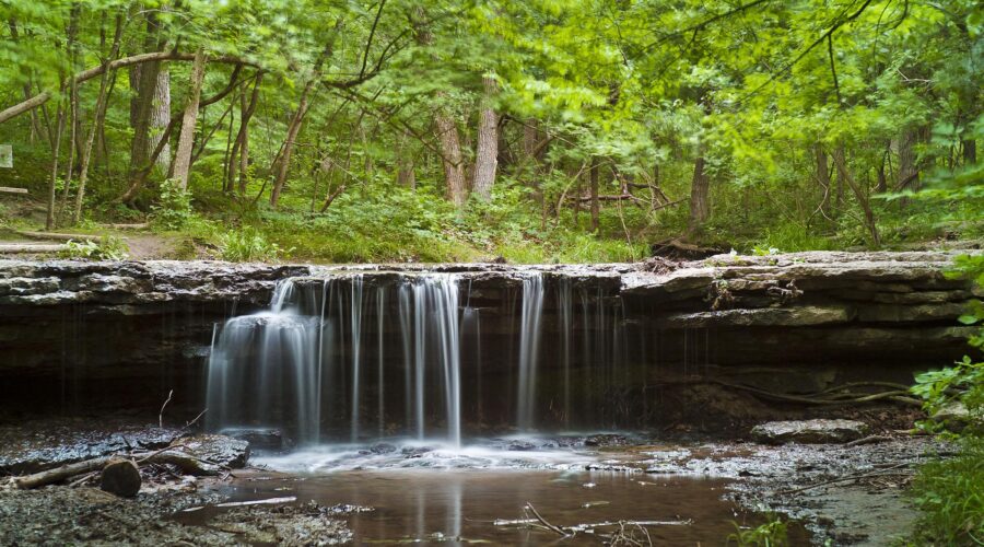 My Favorite Park in Nebraska Is a Little-Known Oasis for Birding – Only In Your State