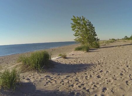 Visit Illinois Beach State Park – Illinois Times