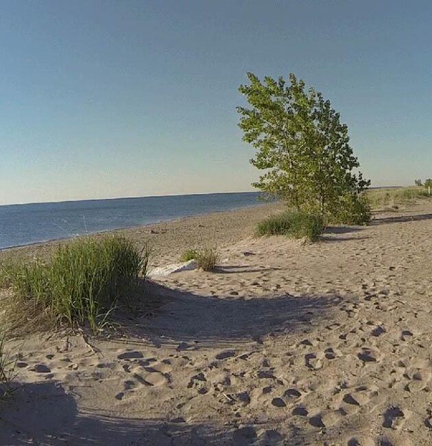 Visit Illinois Beach State Park – Illinois Times