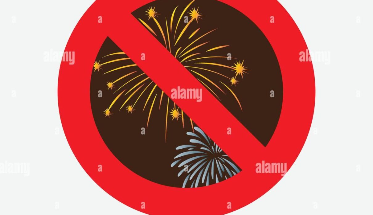 Fireworks are prohibited at state parks, ocean shore – Polk County Itemizer-Observer