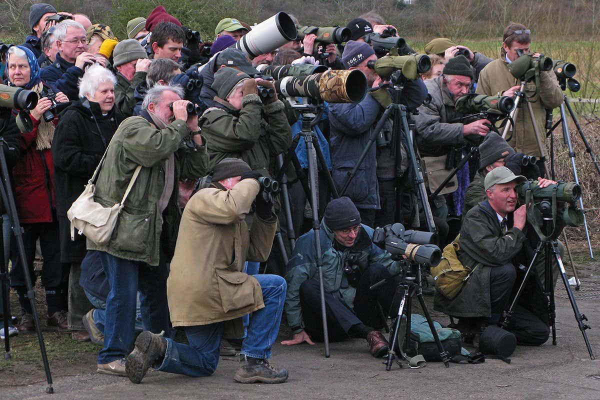 A Day in the Life of a Birdwatcher at the Park