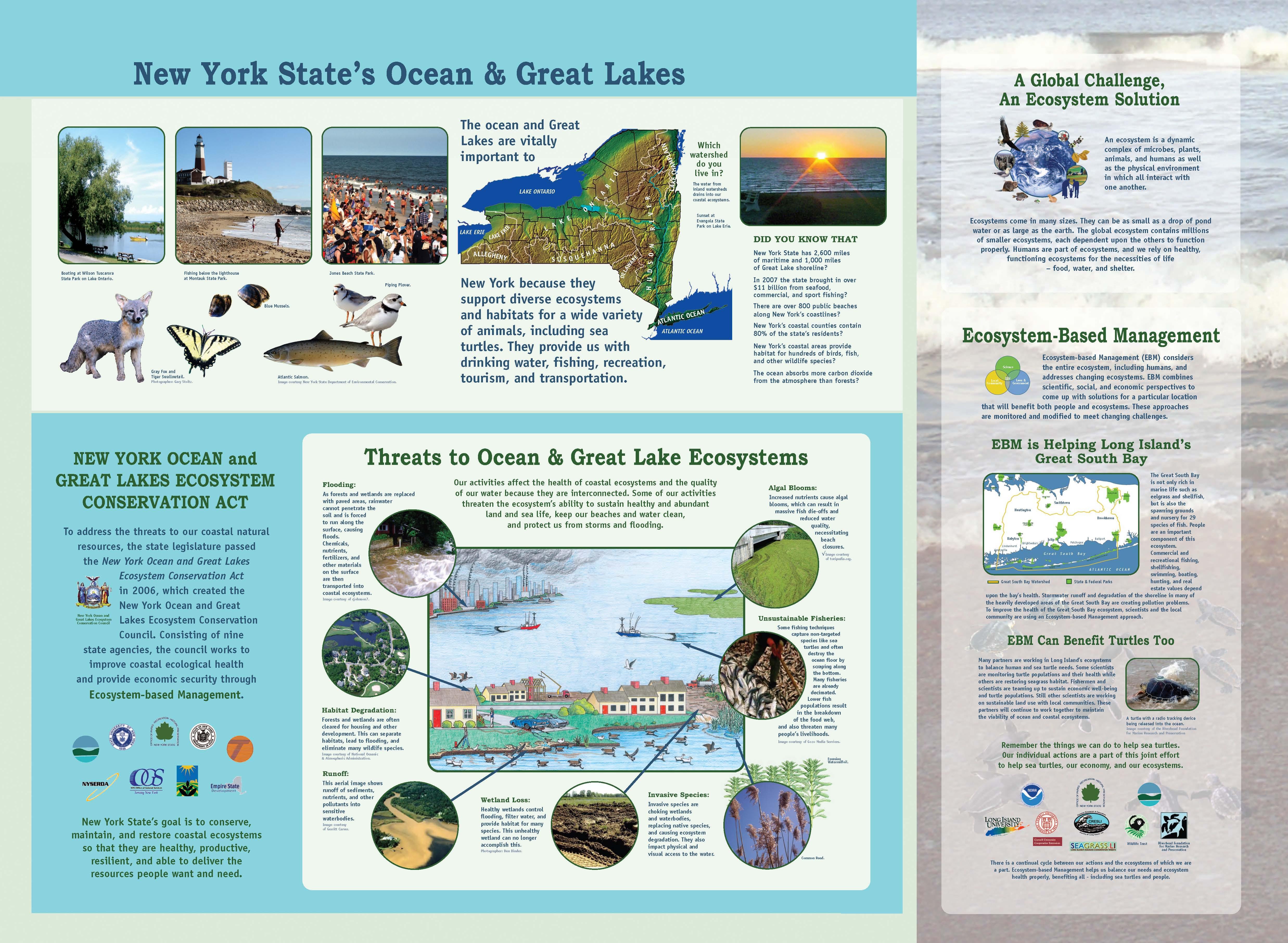 connecting‌ with Nature: The Park's Unique Ecosystem