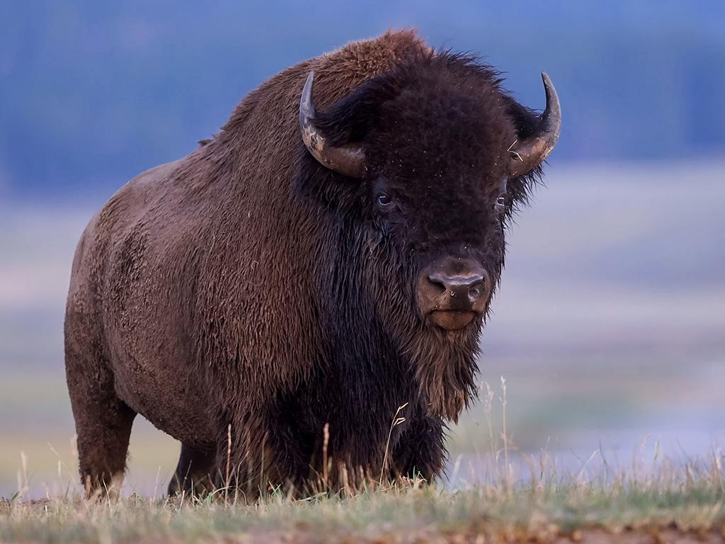 Connect with Nature: Educational Insights and Activities